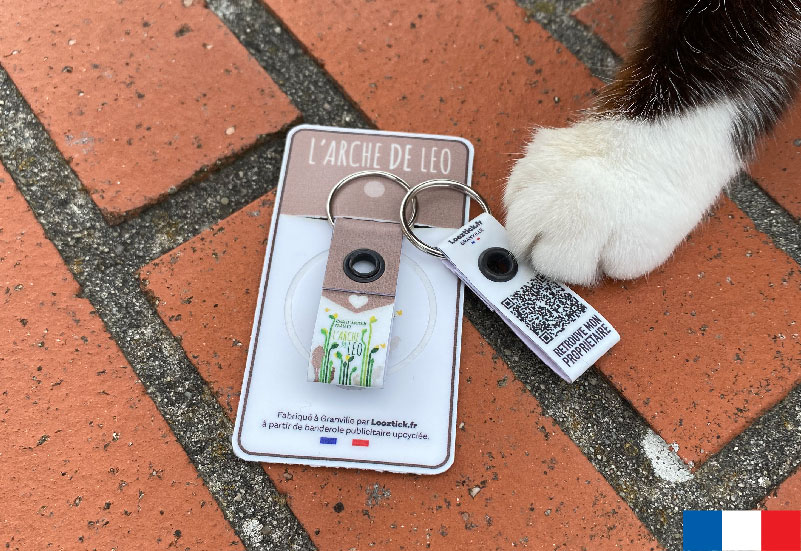Médaille pour chien